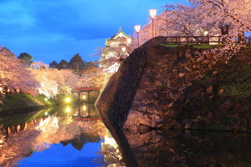 Light up of Hirosaki castle and cherry blossoms