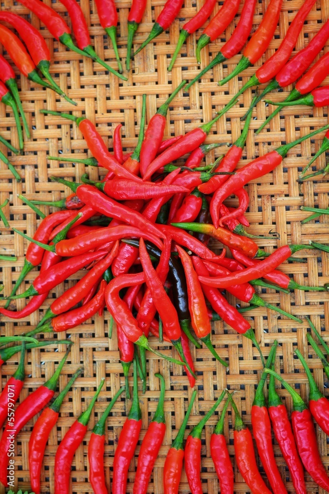 Canvas Prints red chili