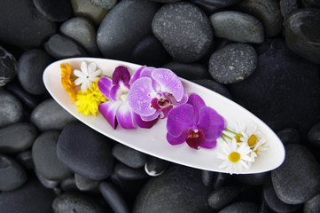 Fototapeta na wymiar Bowl of Colorful orchid flower with black stones