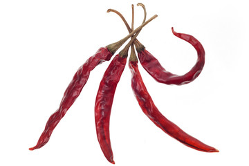 Dried red chili pepper isolated on white background