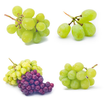 grapes. collection grapes on the white