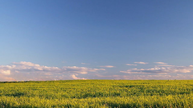 панорама голубое небо, облака, зелёная трава