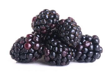 blackberry isolated on a white background