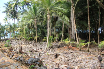 Les Îles du Salut - Août 2013