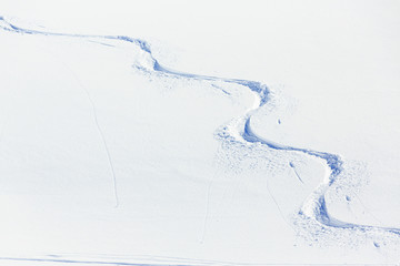 Skiing, snow - freeride tracks on powder snow - obrazy, fototapety, plakaty