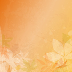 Autumn Paper