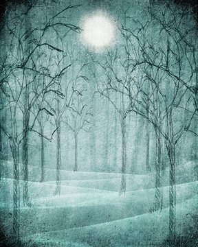 scary forest illustration