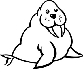Walrus