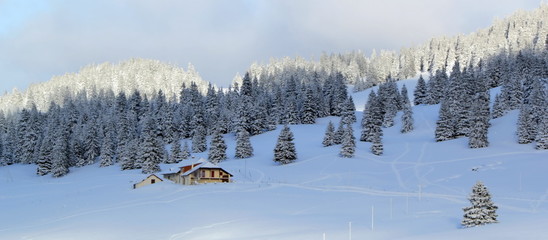 Jura mountain in winter, Switzerland - obrazy, fototapety, plakaty