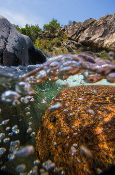 Rivi&egrave;re le Fango, Calvi, Corse