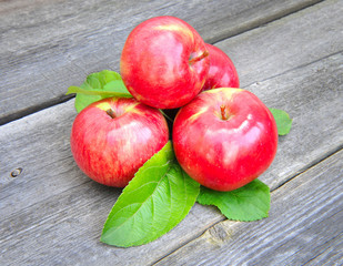 Fresh apples on the wooden bench