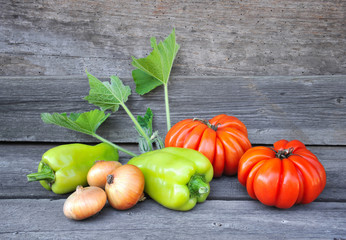Fresh sweet green peppers with onion and tomatoes