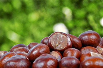 chestnuts