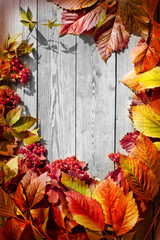 Obraz premium Autumn border from apples and fallen leaves on old wooden table
