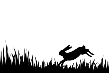 Silhouette of hare in the grass.
