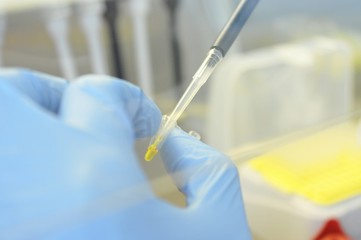 Gloved hand in the lab manipulates