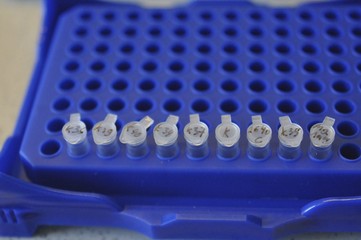 Naklejka premium In Genetic Lab