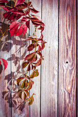 Autumn border from apples and fallen leaves on old wooden table