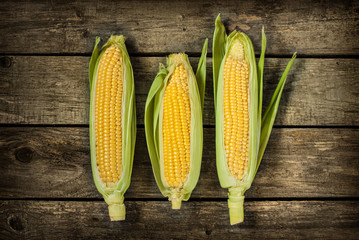 Corn cobs on vintage wood background