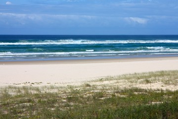 Fototapeta na wymiar Australia beach - Gold Coast