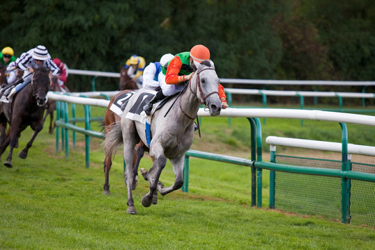 Course Hypique