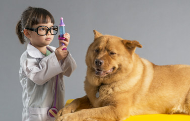 Girl playing veterinarian with dog - 55821608