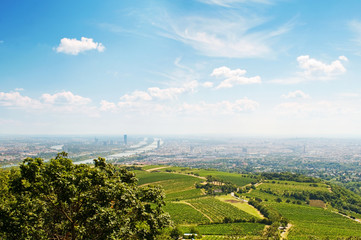 view of the city from the Vienna Woods