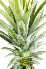 Pineapple on white background with clipping path