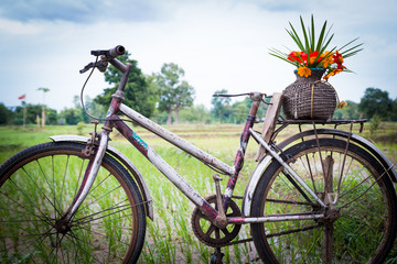 Bicycle and flowers