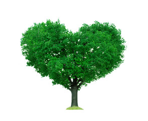 Baum Herz