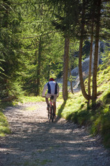 Fototapeta premium Mountainbiker im Wald