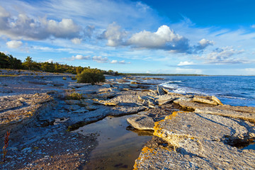 Rocky Coastline of Gotland