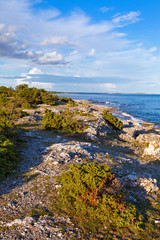 Rocky Coastline of Gotland