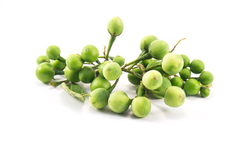 pea eggplants isolated