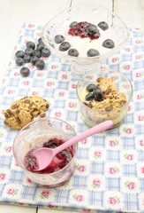 Helado con crema de yogur,mermelada y arandanos