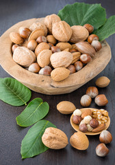 Hazelnuts, walnuts and almonds with leaves