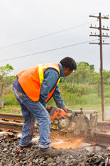 Workers were cutting tracks for maintenance.