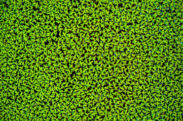 abstract nature pattern background