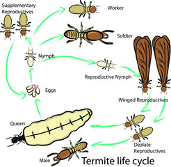 termites insect repellent emblem 