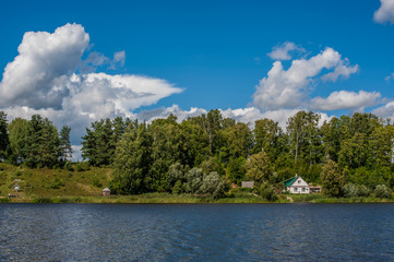 Summer landscape