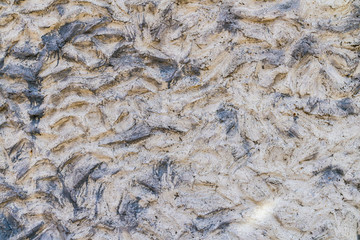 Rough concrete texture