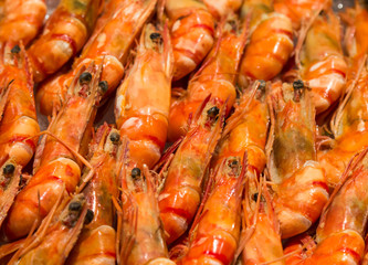 Closeup fresh shrimp in row