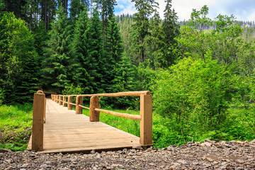 Fototapeta premium new bridge from road to forest. horizontal