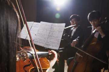 Fototapeta premium Violinist and other musicians playing during a performance, lens flare