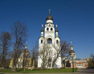 Fototapeta na wymiar Moscow, orthodox cathedrals