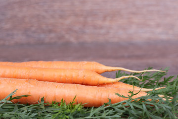 carrots with tops