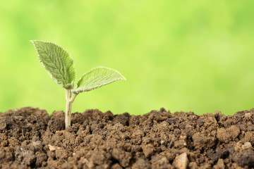 Beginn eines neuen Lebens