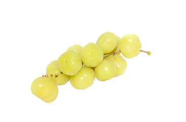 star gooseberry on white background