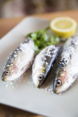Three raw sardines
