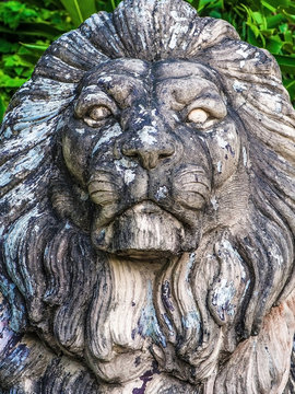 sculpture lion
